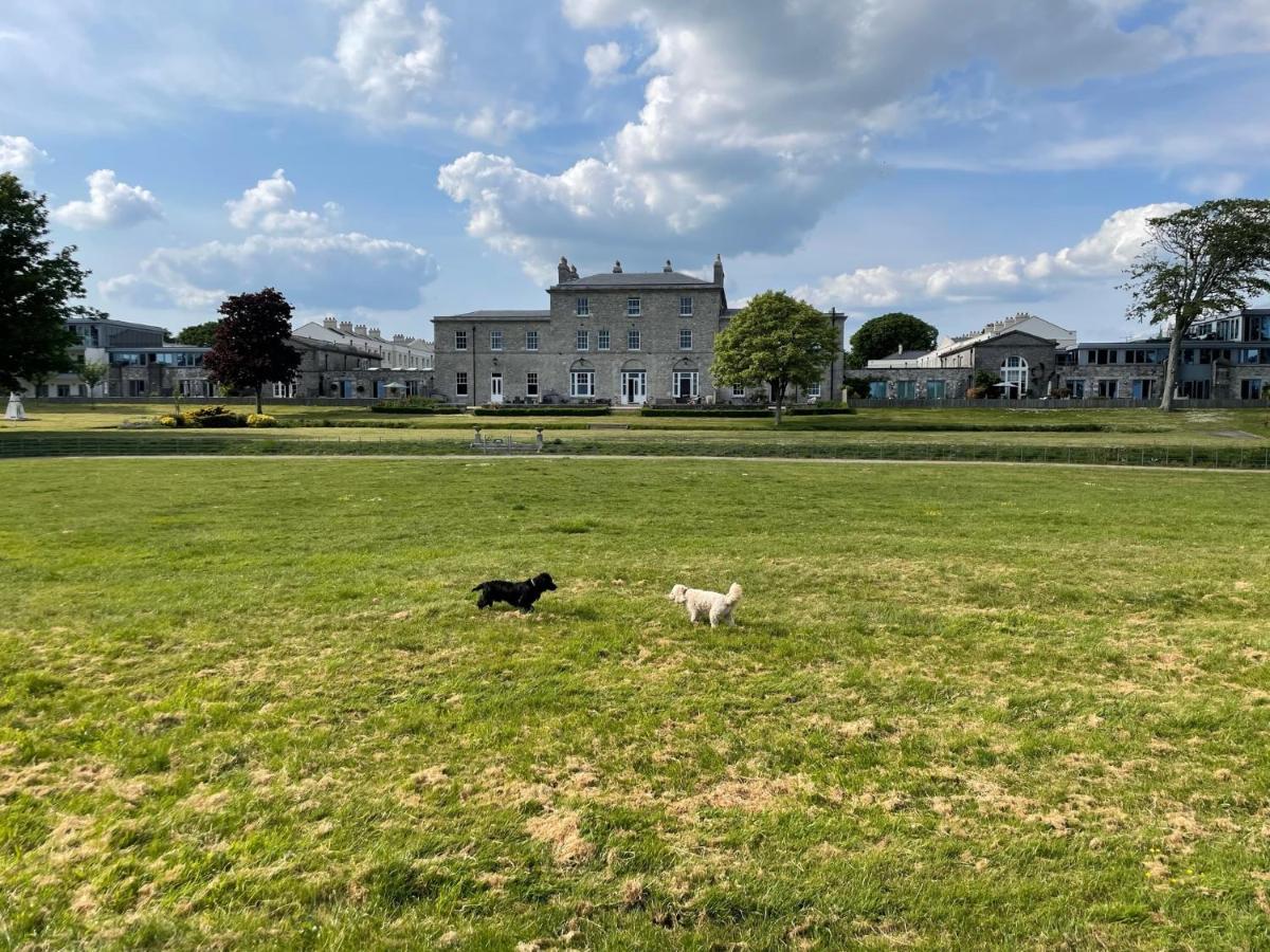 The Pavilion By Pureserviced Plymouth Eksteriør bilde